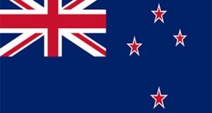 we-are-providing-services-flag-2